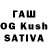 Alfa_PVP СК КРИС Dastan Bostonbaev