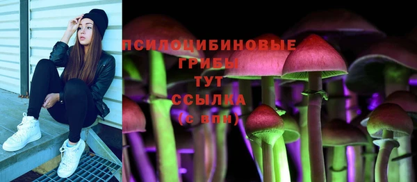 гашик Сосновый Бор