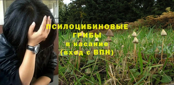 эйфоретик Заволжск