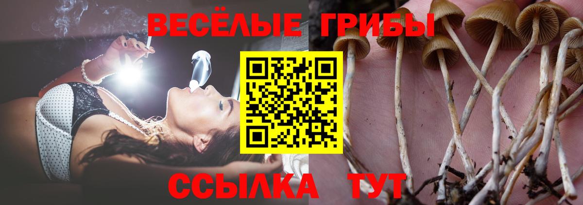 Галлюциногенные грибы Cubensis Волоколамск